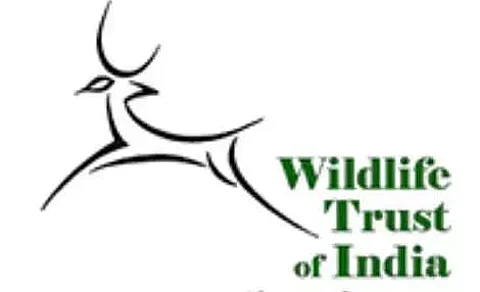 Wildlife Trust of India provides rice to families hit by man-animal conflict in Arunachal