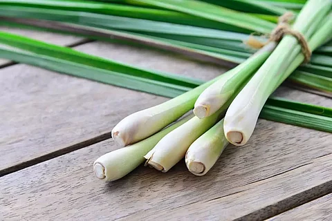 Five Health Benefits of Lemongrass, Check Here