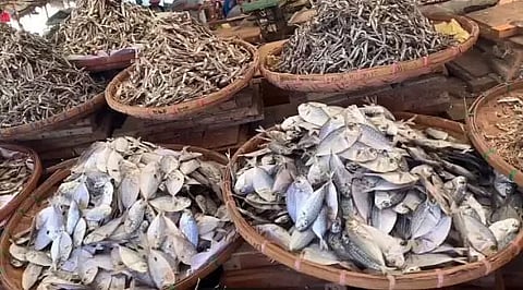 Plea to shift dry fish market at Jagiroad