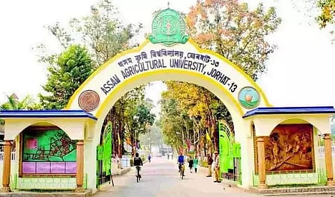 Assam Agricultural University scientists impart training for uplift of farmers