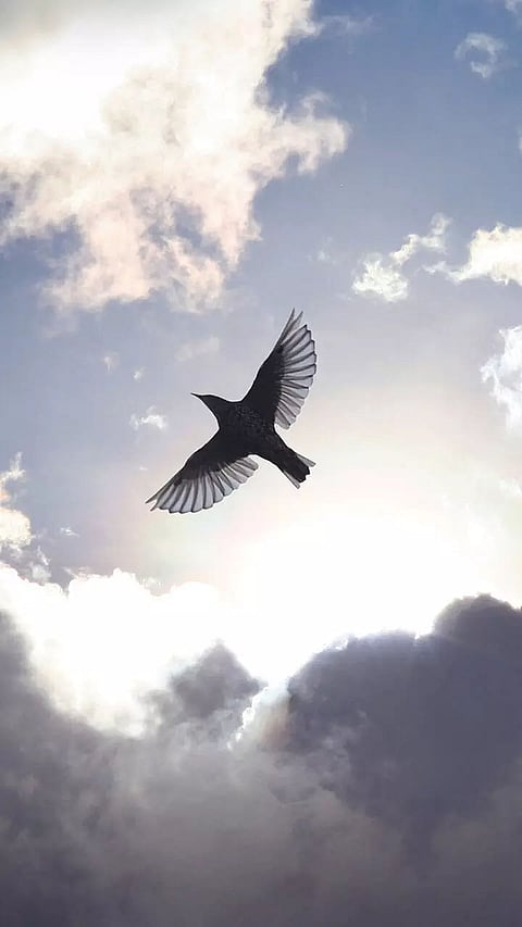 Signs and Symbols Angels use to communicate with us