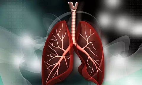 Scientists Detect Microplastics in Lungs