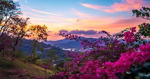 The curious case of missing seasons