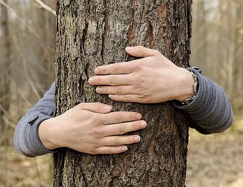 Did You Know You Can Adopt Trees Legally as Your Child or Sibling in Sikkim? Here's How?