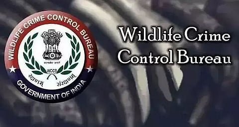 Wildlife Crime Control Bureau makes sizeable haul of wildlife items in Assam