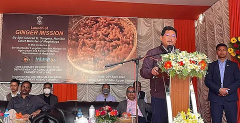 Meghalaya Government launches Rs 121-crore Ginger Mission