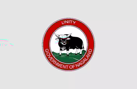 GAB-I Nagaland Recruitment 2022 - Young Professional Vacancy, Job Openings