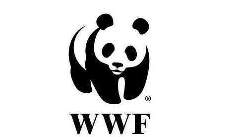 WWF India Recruitment 2022 - Manager Vacancy, Job Openings