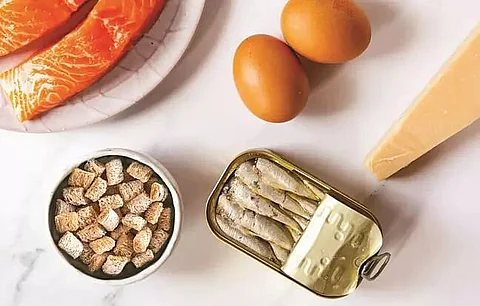 Vitamin B12 deficiency in children leads to poor motor development and anaemia