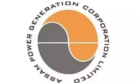 Will generate 5,000 MW of power by 2030: Assam Power General Corporation Ltd