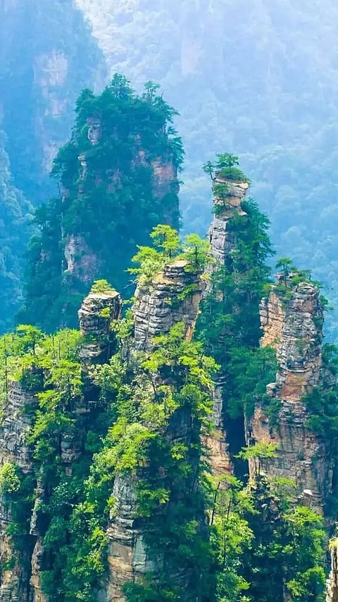 11 places to go to in India this May