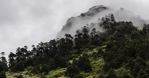 Ancient settlements discovered in a jungle of Papum Pare district in Arunachal Pradesh