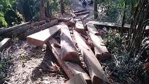 Illegal timber seized in Bongaigaon district