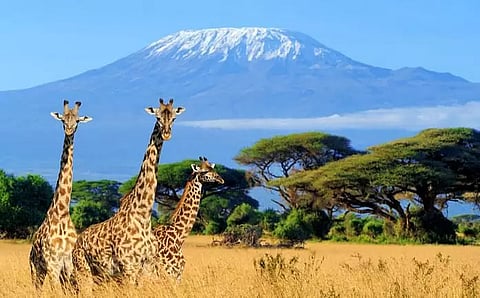 Kenya banking on adventure tourism to boost arrivals