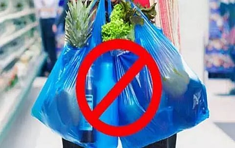 Vietnam to ban plastic bags by 2030