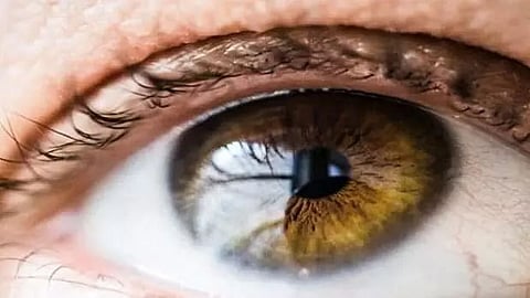 Scientists move a step closer for cataract treatment with new drug