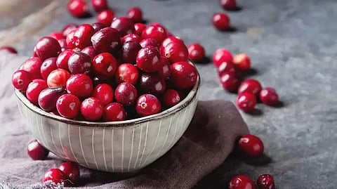 Eating cranberries may help improve memory