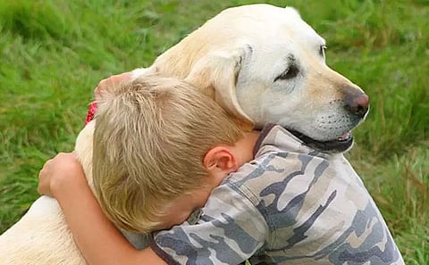 The man-animal bond and new emerging pathogens