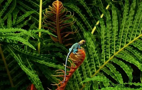 Biodiversity is more precious than diamonds