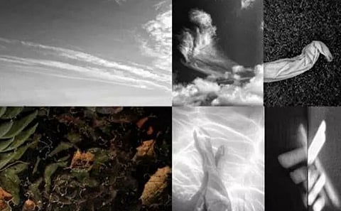 Within the prose of images - Zahra Amiruddin