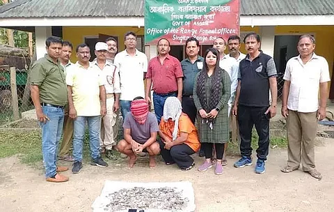 Wildlife Crime Control Bureau seized pangolin scales in Boko