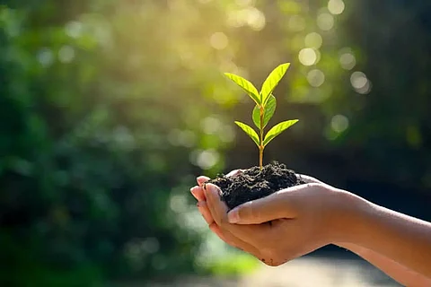 World Environment Day 2022: History, Purpose & Theme: Here's All You Need To Know