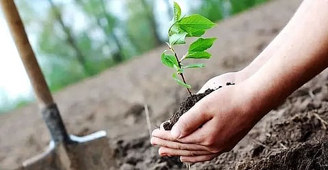 Various organizations observed Environment Day at Chibragre near Tura