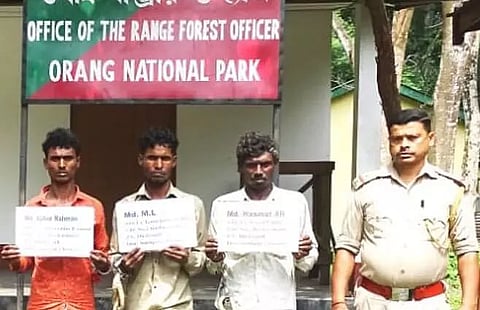 Three arrested for killing Royal Bengal Tiger in Darrang district