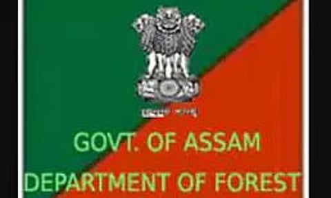 FD Invites Tender for Construction of Ground Floor-2022_PCCF_25863_1