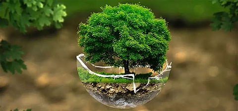 Environment activists question award selection procedure