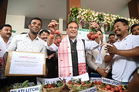 GI tag for famous Tezpur litchi; consignment to be exported to London