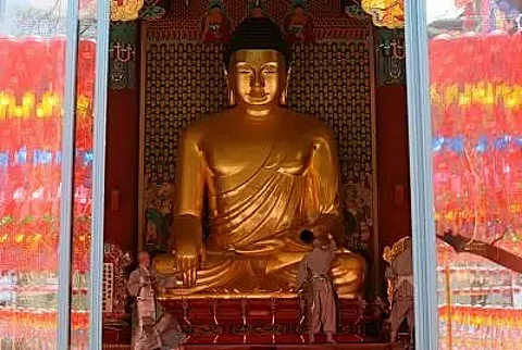 We should endeavour to reach our enlightenment