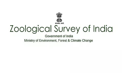 ZSI Recruitment 2022 - Junior Research Fellow Vacancy, Latest Job