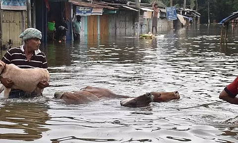 Assam Flood situation: No respite from the flood fury
