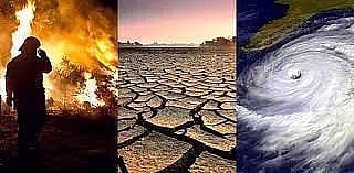 Grappling with the disaster in the making