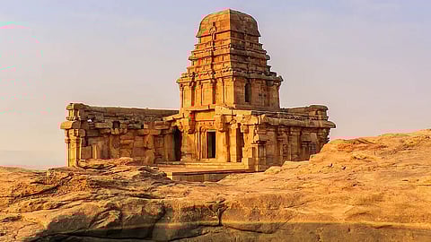 'Red-Green academic club' and their intention