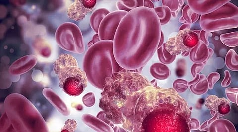 Awareness meet on cancer in Doomdooma