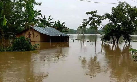 MHA team visits 4 districts; Flood scene unchanged: death toll touches 173