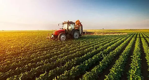 Sustainable development in agriculture