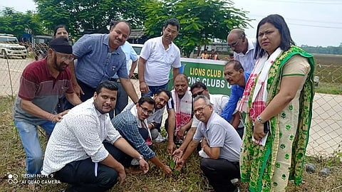 73rd Van Mahotsav: Tree plantation drive conducted at Nagaon Borghat bypass Chariali