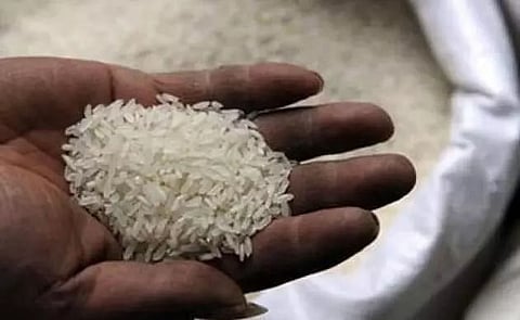 Choosing between free rice and MSP