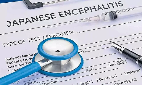 How to Get Rid of Japanese Encephalitis - Home Remedy