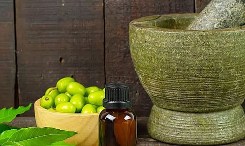 Ayurvedic drug can help kidney recovery: Researchers