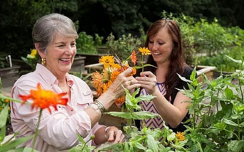 Gardening can promote better mental health: Research