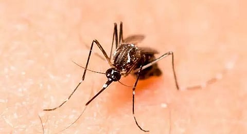 One dies of Japanese Encephalitis at Sootea