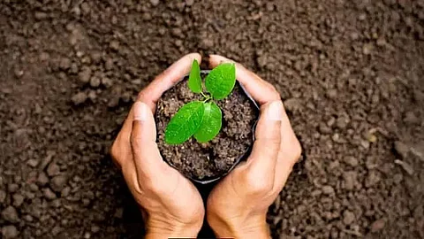 Chief Minister's Institutional Plantation Programme launched in Sivasagar district