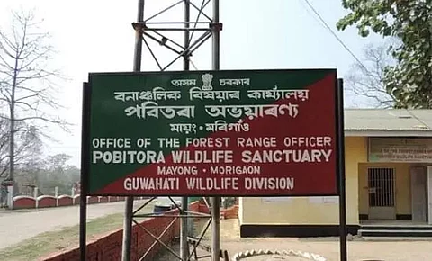 Health check-up camp organized for Pobitora Wildlife Sanctuary forest staff