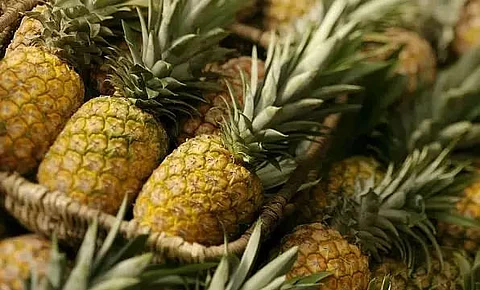 Pineapples exported to New Delhi from Assam