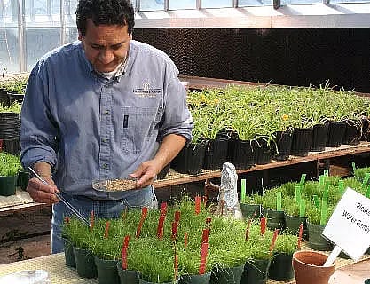 Build your career as a Plant Pathologist
