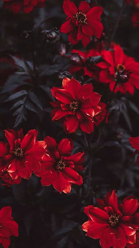 9 Most Controversial Love Affairs of Bollywood